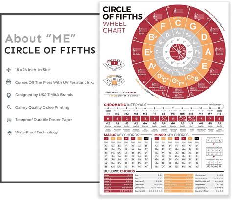 Buy Circle Of Fifths Chart Poster For Guitar And Piano Music Theory