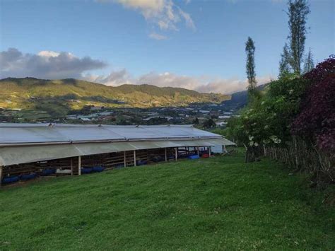 Experiencia agroecológica en granja Al Compás de Antioquia