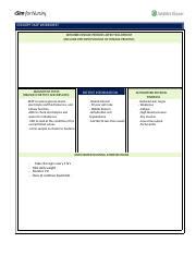 Worksheets Templates For Clinical VSim Assignments Docx CONCEPT MAP