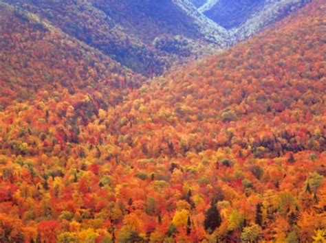 The Best Places To See Fall Foliage In Canada Cape Breton Places To