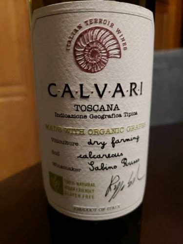 Castellani Calvari Organic Pinot Grigio Vivino Us