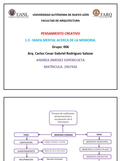 13 Mapa Mental Acerca De La Memoria Pdf