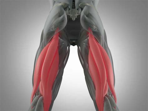 Three Symptoms of A Hamstring Strain