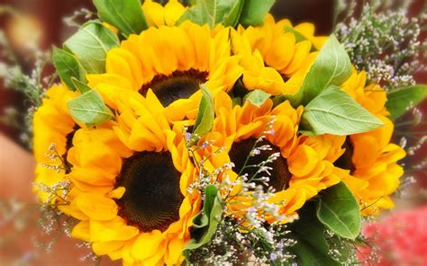 Por Qu Regalar Flores Amarillas En Marzo El Sol De Zacatecas