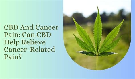 CBD And Cancer Pain Can CBD Help Relieve Cancer Related Pain