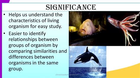 Form1 Biology Lesson6 Significance Of Classification Youtube