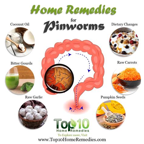 Pinworms In Human Stool