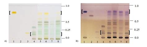 A B Tlc Chromatograms Of Standards And Nostoc Extracts Stationary