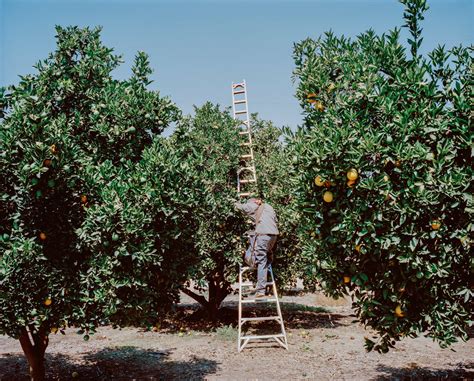 Photographing the Impact of California’s Water Crisis - The New York Times