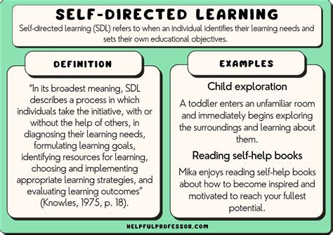 16 Self Directed Learning Examples 2024