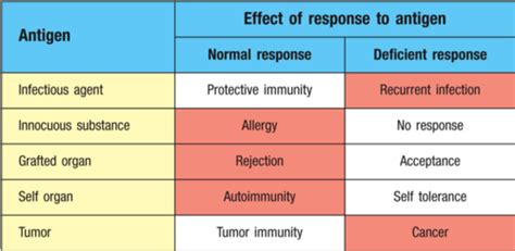 14 VL Immunologie III Flashcards Quizlet