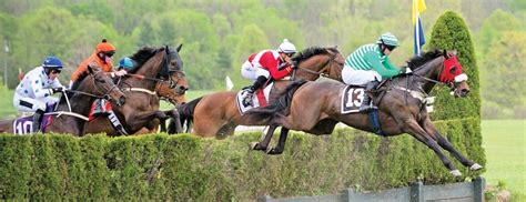 Jumping in Jockey Stirrups: Steeplechase 101 - The Plaid Horse Magazine