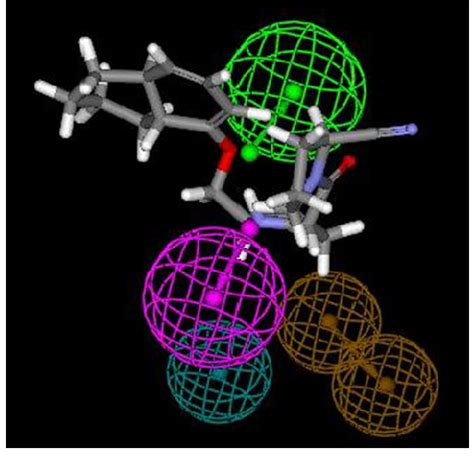 Mapping of least active compound, 21q, with the pharmacophoric features ... 