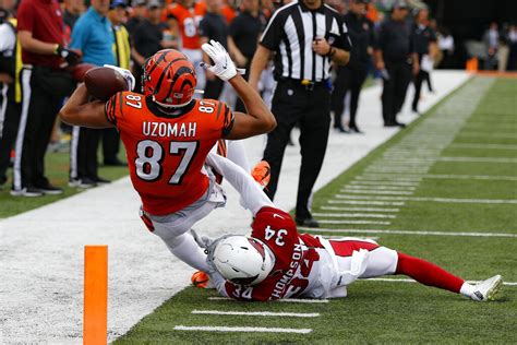 Cincinnati Bengals Vs Arizona Cardinals Free Live Stream Odds Tv