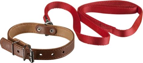 Premium Photo | Dog collar with leash isolated