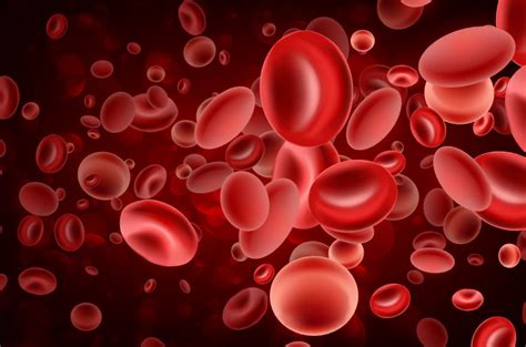 Er Golongan Darah Baru Dengan Lima Antigen