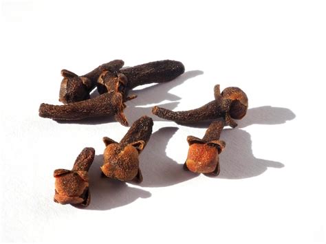 Premium Photo Cloves Spice Dried Buds Of Tropical Clove Tree Syzygium