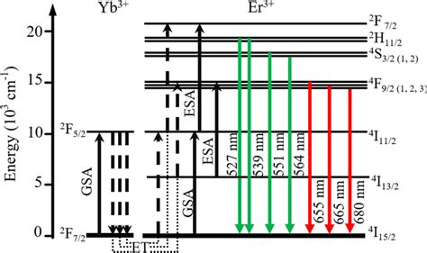 Schematic Energy Level Diagram And Transitions Mechanisms Of Er Yb