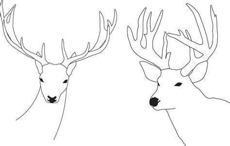 Deer skull vector 12676479 Vector Art at Vecteezy