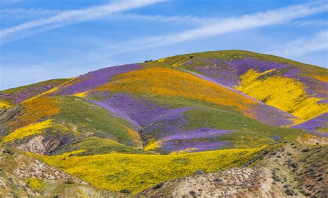 Carrizo Plain National Monument, Soda Lake Rd, Santa Margarita, CA, USA ...