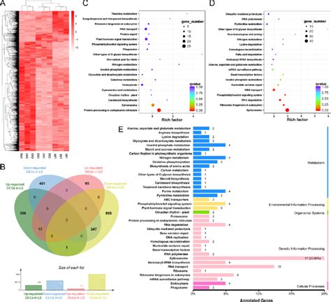 Transcriptome Analysis And Kegg Pathway Enrichment Of Tobacco Seeds