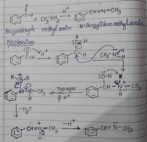 Solved 1 Provide A Detailed Stepwise Mechanism For The Acid