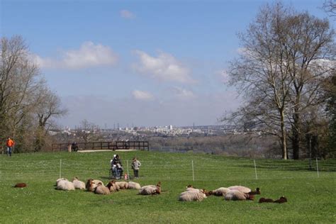 Bient T La Transhumance Cergy Pontoise Nature En Ville