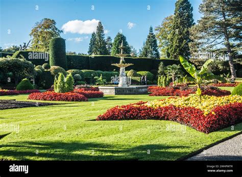 Traps Raymond Boswell Stock Photo Alamy