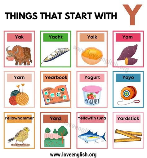 Fabulous Examples Of Things That Start With Y Love English