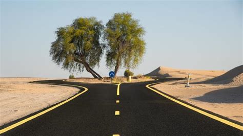 Al Qudra Cycle Track