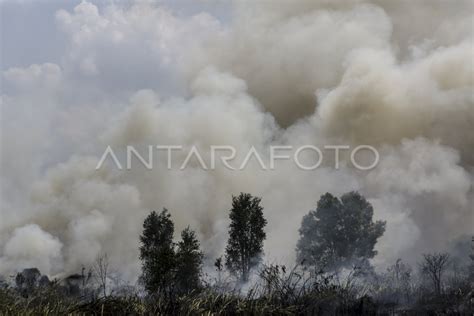 820 TITIK API DI INDONESIA TERDETEKSI SATELIT LAPAN ANTARA Foto