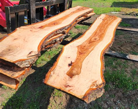 Hardwood Products Guide To Finding Live Edge Slabs