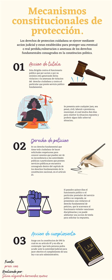 Infografía Sobre Los Mecanismos Constitucionales De Protección Ga1