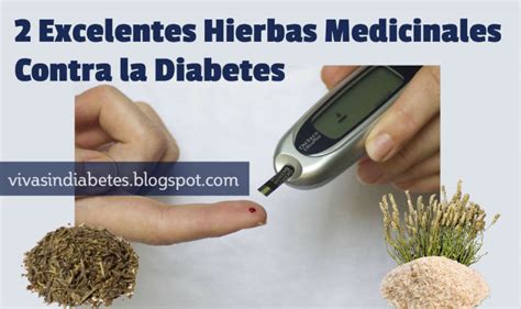 Hierbas Medicinales Para Combatir La Diabetes Que Puedes Usar