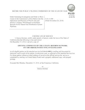 Fillable Online Docs Cpuc Ca Order Instituting Investigation And Order