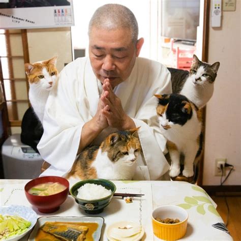 悟出貓道！日本長樂寺「貓奴住持」佛系供奉喵喵大人，最愛的地方是住持的膝蓋？ 日本那須長樂寺、關東、栃木、住持、貓奴 寵物圈圈 妞新