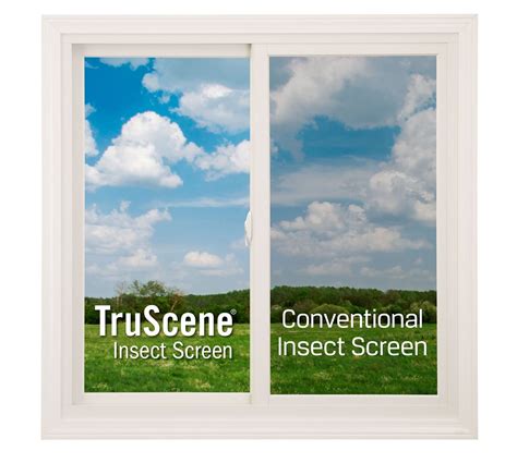 The Best Invisible Insect Window Benefits Of TruScene