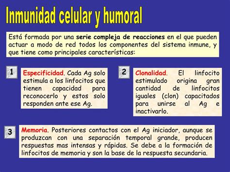 PPT RESPUESTA INMUNE DE TIPO CELULAR Y HUMORAL PowerPoint