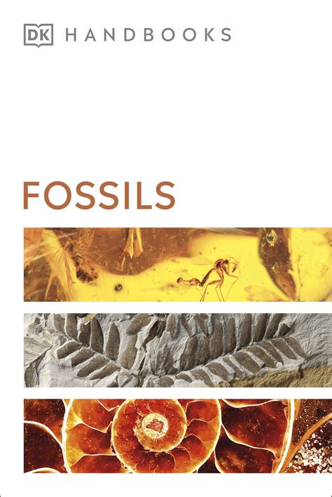 Fossils By Dk Penguin Books New Zealand