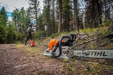 4 Common Stihl Ms 661 Problems Troubleshooting