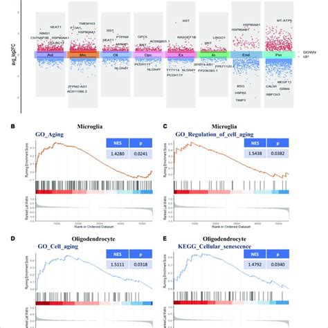 Differential Gene Expression And Gene Set Enrichment Analysis A