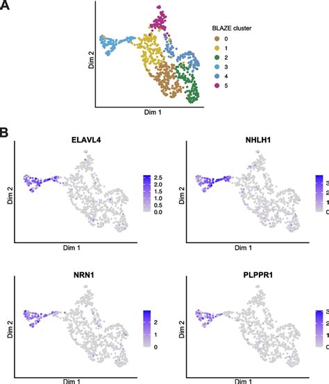 Gene Expression Umap Colored By Cluster And Expression Of Marker Genes