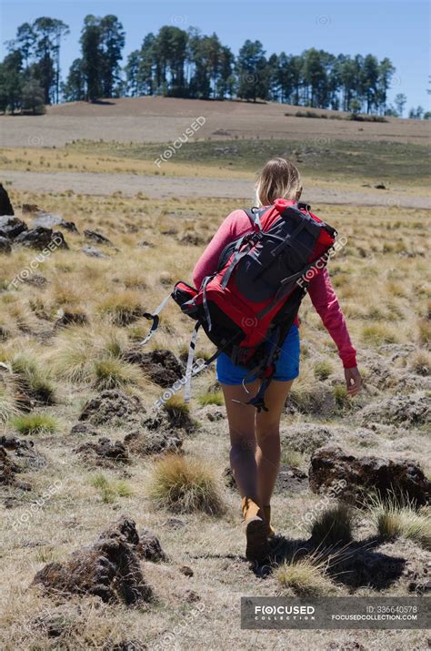 Visão traseira do caminhante feminino mochila andando em campo