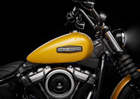 2025 Street Bob Motorcycle Harley Davidson In
