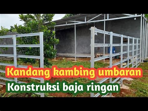 Kandang Kambing Umbaran Konstruksi Baja Ringan YouTube