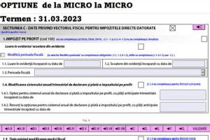 Cum Set M Vectorul Fiscal Pentru Referitor La Impozitare Micro