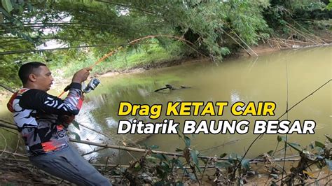 Mancing Ikan Baung Di Sungai Umpan Tapa Kapas Kembojakucur Strike