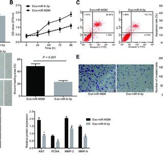 MiR 9 3p In Exosomes Suppresses The Viability Migration And Invasion