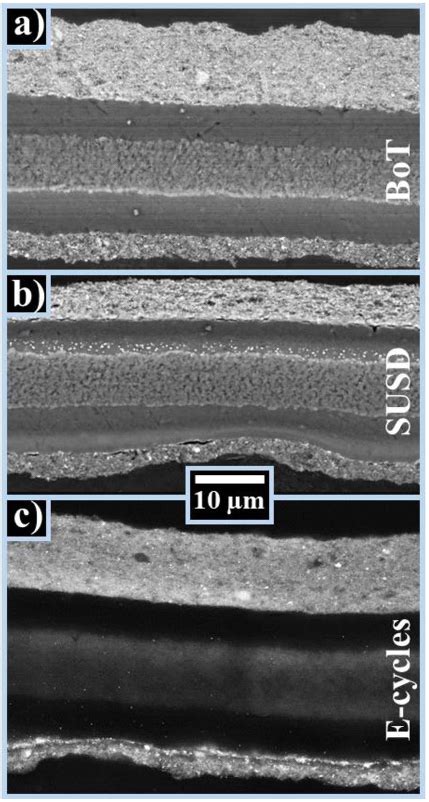 Figure High Resolution Sem Images Of Cross Sectioned Embedded Meas