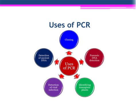 Technique Of Polymerase Chain Reaction Pcr Experimental Biotechnology